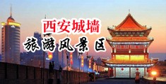 3d爆乳美女抽插视频一区中国陕西-西安城墙旅游风景区